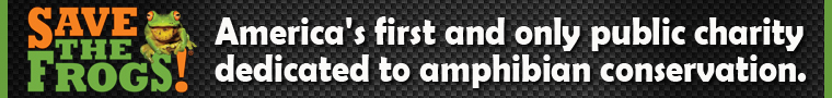 banner-americas-first-760