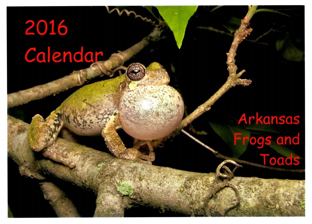 Frog Calendar
