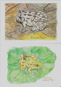Frog and Toad Note Cards