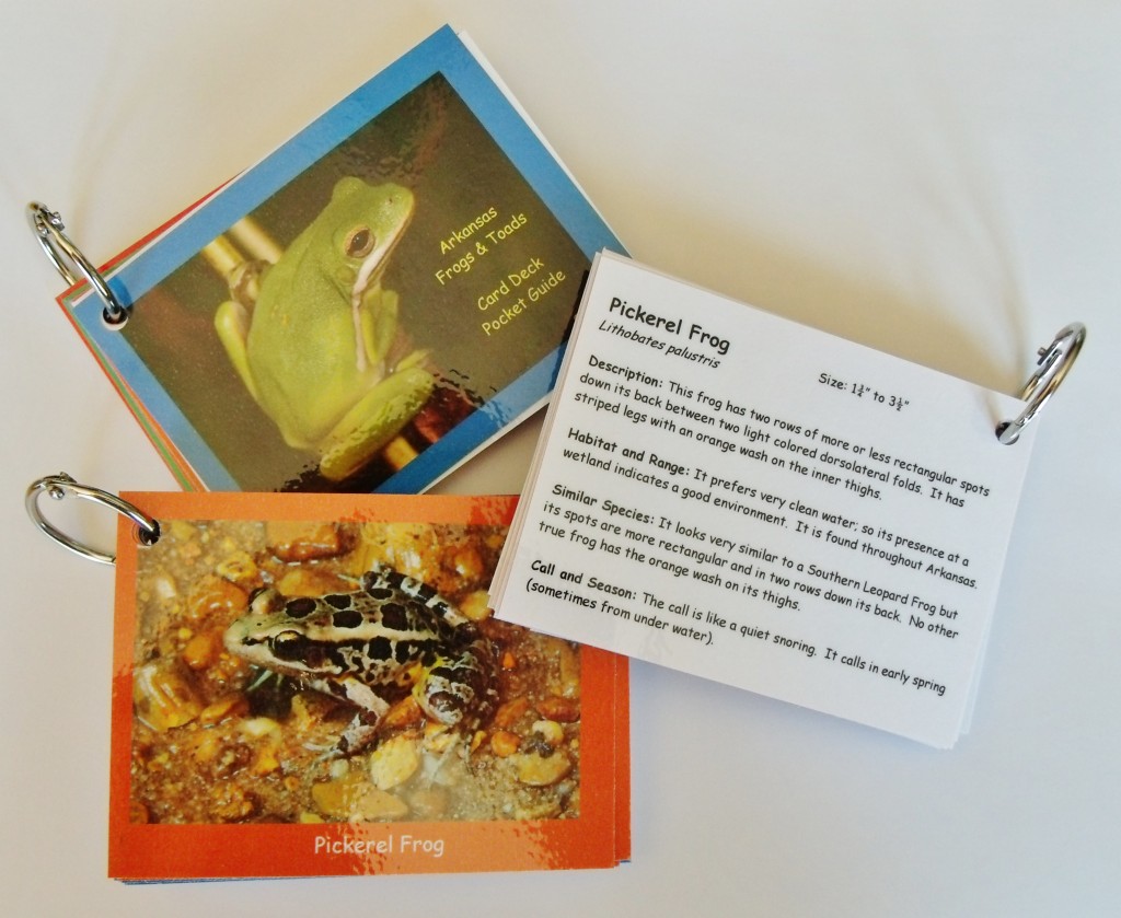 Frog Card Deck